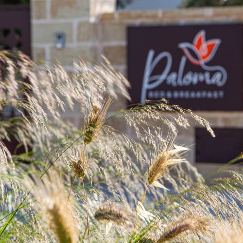 Dormire nelle più belle camere del Salento – b&b Paloma Dormire nelle più belle camere del Salento - b&b Paloma